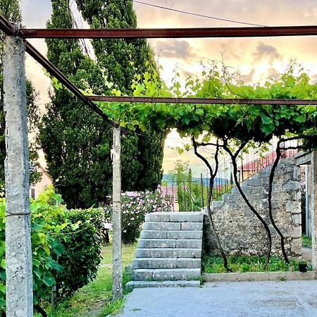 Apartman Boljevic Подгорица Экстерьер фото