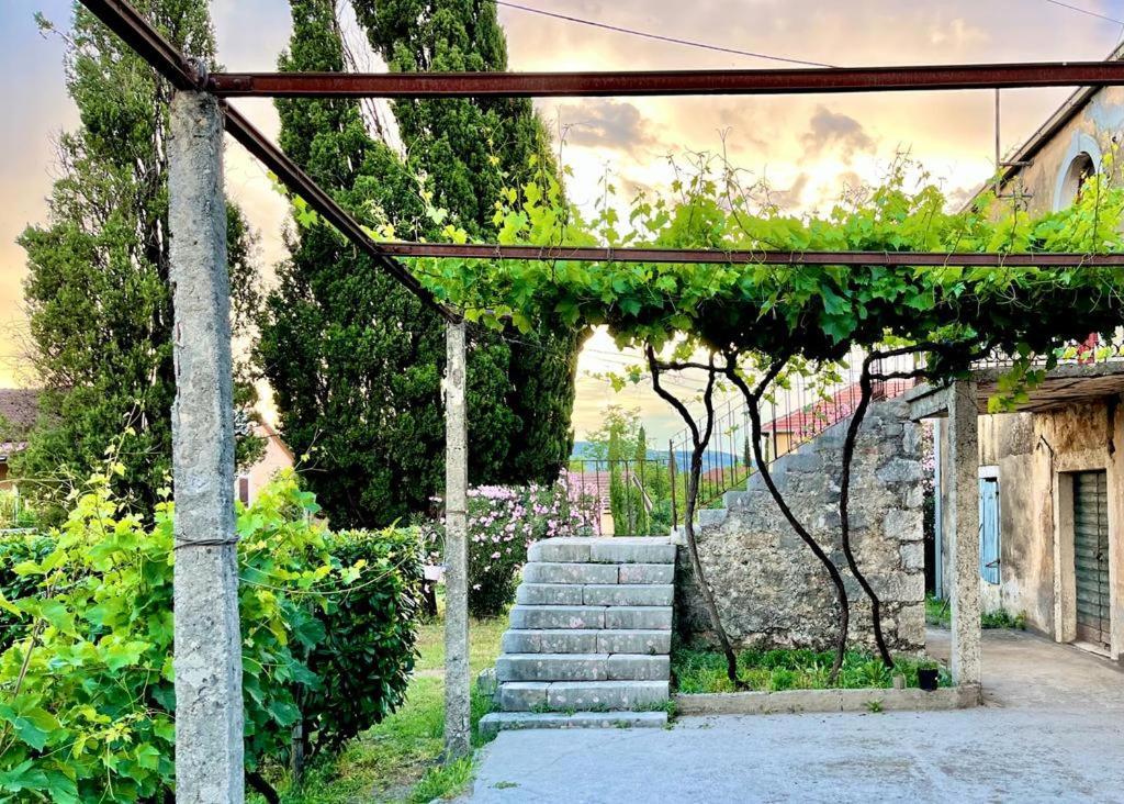 Apartman Boljevic Подгорица Экстерьер фото